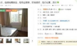 租房艳遇在线观看视频,一场意外邂逅的浪漫传奇