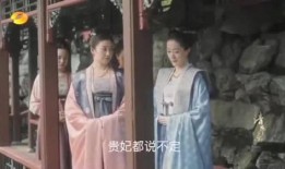 番茄娱乐大爆料,揭秘娱乐圈幕后真相与明星幕后故事