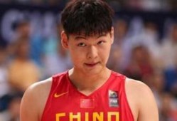 王哲林爆料视频大全集,揭秘篮球巨星背后的故事