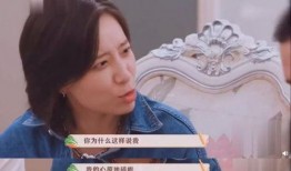 宁静爆料图片大全集视频,揭秘明星幕后生活瞬间