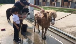 微电影小马在线观看