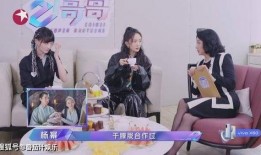 娱乐吃瓜酱去面试,揭秘面试背后的精彩故事