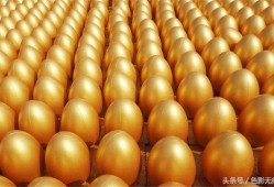 金蛋在线观看,探索虚拟世界的无限魅力