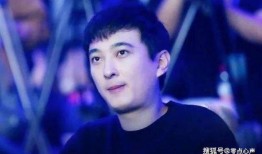 辛凯爆料女艺人是谁啊视频,揭秘视频中那位神秘女艺人身份