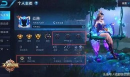 温情王者爆料视频下载,视频爆料背后的感人故事