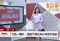 钓鱼爆料视频大全下载最新,最新爆料视频大全，精彩瞬间一网打尽！