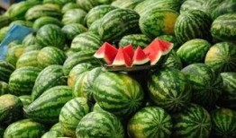 临沂网红吃瓜事件真相,真相背后的网络风波