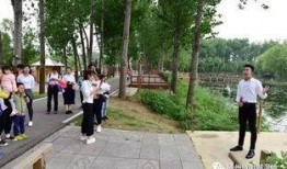 枣庄导游爆料视频最新,带你探秘古城背后的故事与风情