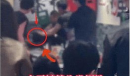 打架事件爆料视频下载,冲突瞬间引发网友热议