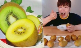 陈氏果业爆料视频播放大全,揭秘行业幕后真相