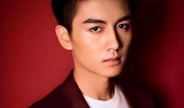 娱乐圈爆料陈晓,娱乐圈新恋情引发热议