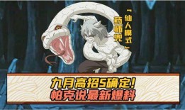 九月高招s确定帕克说最新爆料,帕克最新爆料深度解析