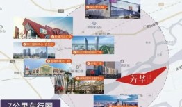 大淇直播爆料最新消息视频