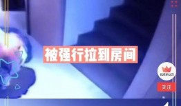 月光爆料最新消息视频播放,最新视频揭秘，精彩瞬间不容错过！