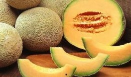 吃哈密瓜帅哥视频大全免费观看,免费观看视频大全，尽享视觉盛宴