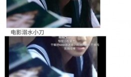 娱乐吃瓜酱书,揭秘娱乐圈幕后故事与明星八卦