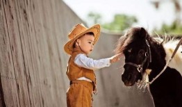 微电影小马在线观看