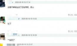 陈赫天涯爆料视频播放在线观看