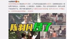 天涯爆料陈山枝是谁啊视频,陈山枝是谁？视频内容深度解析