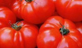 西红柿姐姐网红吃瓜,揭秘娱乐圈幕后真相