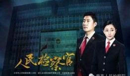人民检察官在线观看,正义之光，守护公平正义的在线传奇