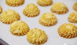 饼干大人爆料视频大全,揭秘娱乐圈幕后真相