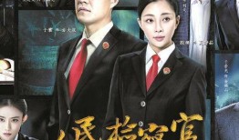 人民检察官在线观看,正义之光，守护公平正义的在线传奇