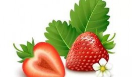 今日爆料草莓视频,揭秘网络红人幕后真相