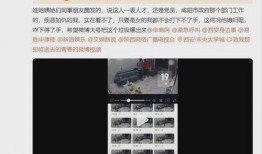 爆料陕西被家暴妻子视频,暴力阴影下的家庭悲剧