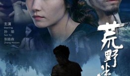 情迷电影在线观看影片,在线观影之旅，邂逅光影中的浪漫故事