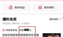 头条怎么爆料事情视频,视频还原事件真相，网友热议不断