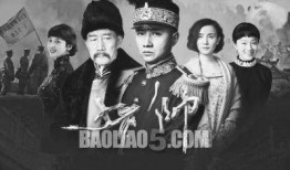 少帅电视剧在线观看全集,风云再起，传奇一生