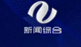 头条株洲新闻爆料电话,揭秘城市脉搏，倾听市民声音