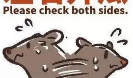 娱乐圈忙死吃瓜群众是谁,谁是幕后推手？