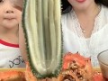 海参最新爆料图片,探寻海洋珍馐的神秘面纱